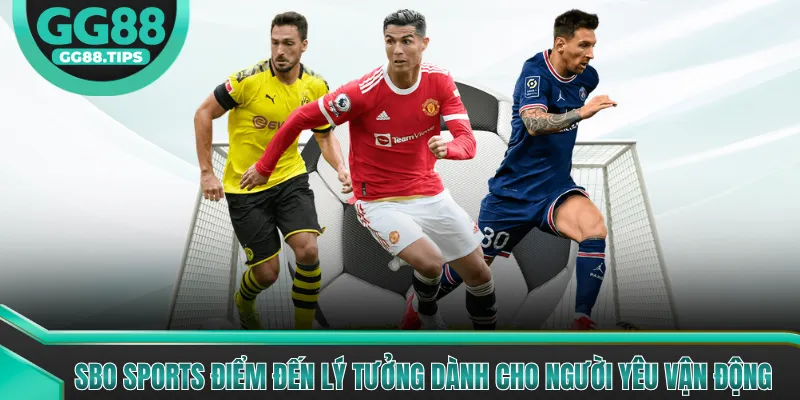SBO Sports Điểm Đến Lý Tưởng Dành Cho Người Yêu Vận Động